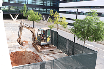 Obras ascensor